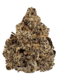 Buy Lizard Burger hybrid strain online USA – discreet shipping | Ghost Farms Official