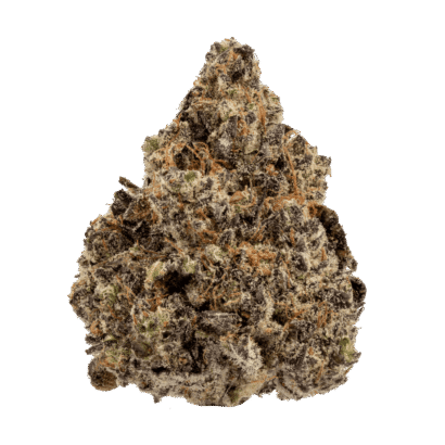 Buy Lizard Burger hybrid strain online USA – discreet shipping | Ghost Farms Official