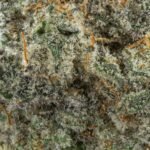 Ghost Farms Official – Buy Premium Cannabis Online USA Discreet Delivery