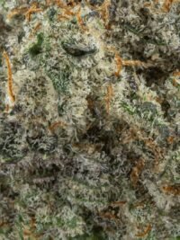 Ghost Farms Official – Buy Premium Cannabis Online USA Discreet Delivery