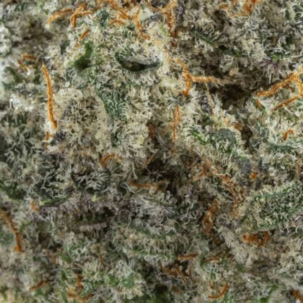 Ghost Farms Official – Buy Premium Cannabis Online USA Discreet Delivery