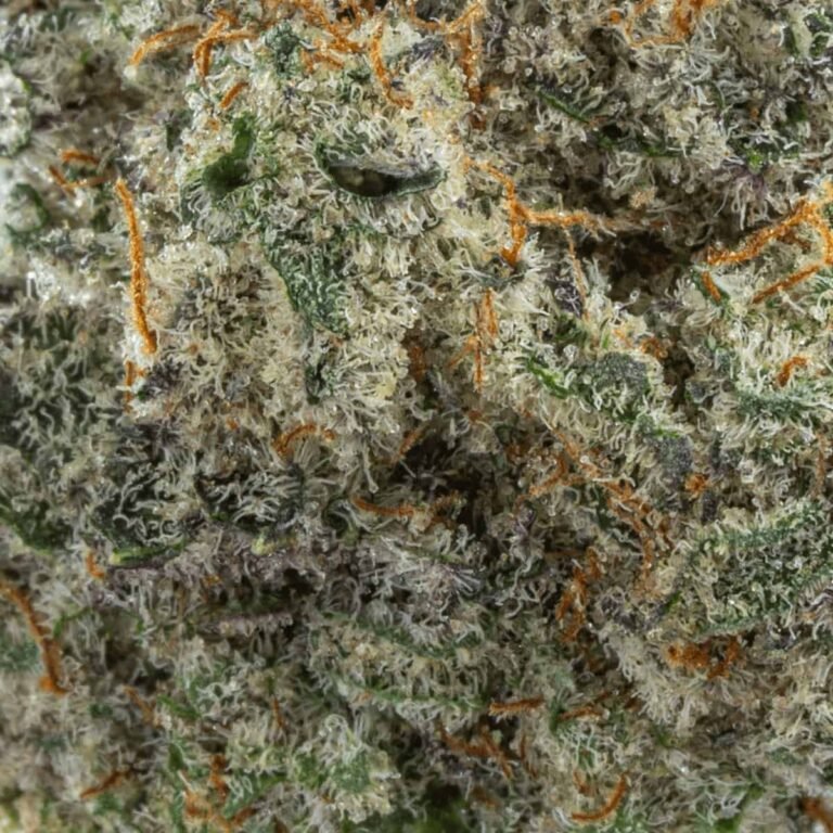 Ghost Farms Official – Buy Premium Cannabis Online USA Discreet Delivery