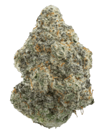 Buy Mac 1 hybrid strain online USA – discreet shipping | Ghost Farms Official