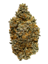 Buy Mac1 Strain hybrid strain online USA – discreet shipping | Ghost Farms Official