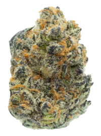 Buy Michigan Purp indica strain online USA – discreet shipping | Ghost Farms Official