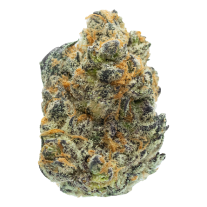 Buy Michigan Purp indica strain online USA – discreet shipping | Ghost Farms Official