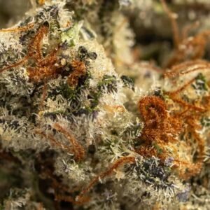 Ghost Farms Official Premium Cannabis Products – Buy Weed Online USA Discreet Delivery