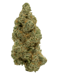 Buy Mule Fuel indica strain online USA – discreet shipping | Ghost Farms Official