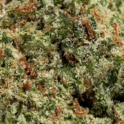 Ghost Farms Official – Buy Premium Cannabis Online USA Discreet Delivery