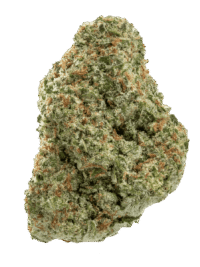 Buy Papaya Punch hybrid strain online USA – discreet shipping | Ghost Farms Official
