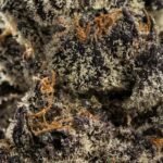 Ghost Farms Official Premium Cannabis Products – Buy Weed Online USA Discreet Delivery