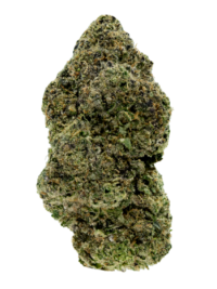 Buy Permanent Marker indica strain online USA – discreet shipping | Ghost Farms Official