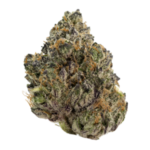 Buy Pinnacle hybrid strain online USA – discreet shipping | Ghost Farms Official