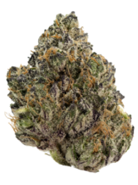 Buy Pinnacle hybrid strain online USA – discreet shipping | Ghost Farms Official