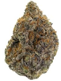 Buy Purple Gelonade hybrid strain online USA – discreet shipping | Ghost Farms Official