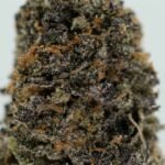 Ghost Farms Official Premium Cannabis Products – Buy Weed Online USA Discreet Delivery