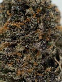 Ghost Farms Official Premium Cannabis Products – Buy Weed Online USA Discreet Delivery