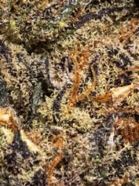 Ghost Farms Official Premium Cannabis Products – Buy Weed Online USA Discreet Delivery