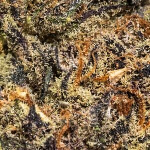 Ghost Farms Official Premium Cannabis Products – Buy Weed Online USA Discreet Delivery