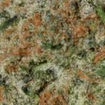 Ghost Farms Official Premium Cannabis Products – Buy Weed Online USA Discreet Delivery