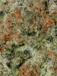 Ghost Farms Official Premium Cannabis Products – Buy Weed Online USA Discreet Delivery