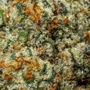 Ghost Farms Official Premium Cannabis Products – Buy Weed Online USA Discreet Delivery