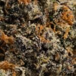 Ghost Farms Official – Buy Premium Cannabis Online USA Discreet Delivery