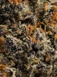Ghost Farms Official – Buy Premium Cannabis Online USA Discreet Delivery