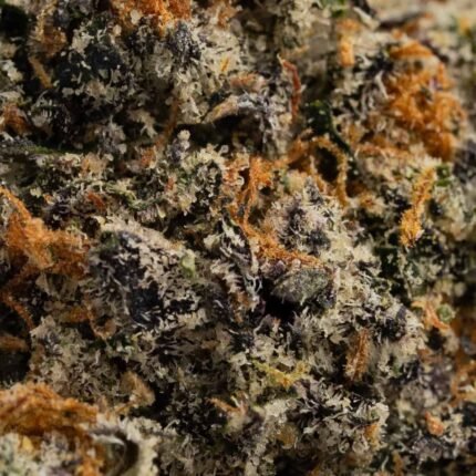 Ghost Farms Official – Buy Premium Cannabis Online USA Discreet Delivery