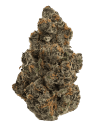 Buy Super Boof hybrid strain online USA – discreet shipping | Ghost Farms Official