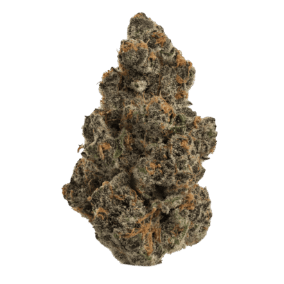 Buy Super Boof hybrid strain online USA – discreet shipping | Ghost Farms Official