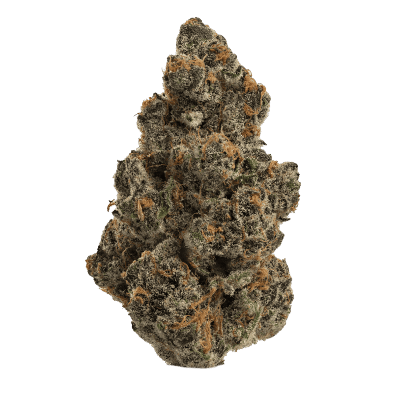 Buy Super Boof hybrid strain online USA – discreet shipping | Ghost Farms Official