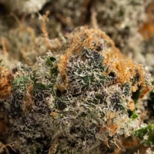 Ghost Farms Official – Buy Premium Cannabis Online USA Discreet Delivery