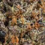 Ghost Farms Official Premium Cannabis Products – Buy Weed Online USA Discreet Delivery