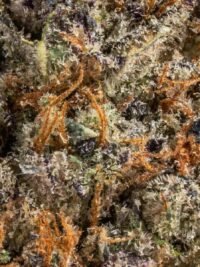 Ghost Farms Official Premium Cannabis Products – Buy Weed Online USA Discreet Delivery