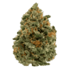 Buy Super Silver Haze sativa strain online USA – discreet shipping | Ghost Farms Official