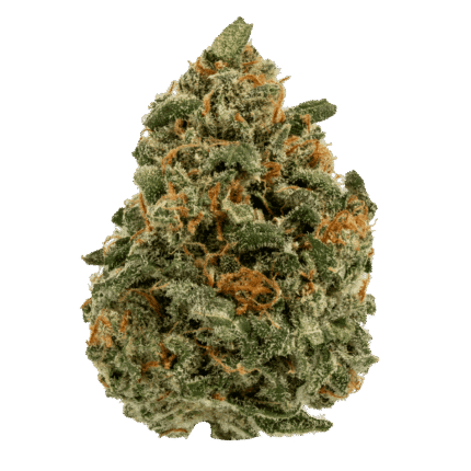 Ghost Farms Official – Buy Premium Cannabis Online USA Discreet Delivery