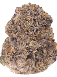 Buy Sunset Sherbet hybrid strain online USA – discreet shipping | Ghost Farms Official