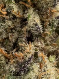 Ghost Farms Official – Buy Premium Cannabis Online USA Discreet Delivery