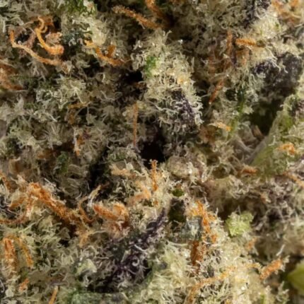 Ghost Farms Official – Buy Premium Cannabis Online USA Discreet Delivery