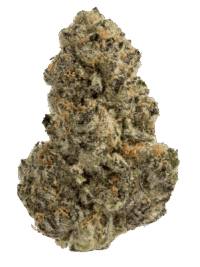 Buy Triple Burger indica strain online USA – discreet shipping | Ghost Farms Official