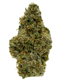 Ghost Farms Official Premium Cannabis Products – Buy Weed Online USA Discreet Delivery