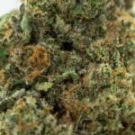 Ghost Farms Official Premium Cannabis Products – Buy Weed Online USA Discreet Delivery