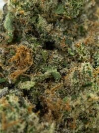 Ghost Farms Official Premium Cannabis Products – Buy Weed Online USA Discreet Delivery