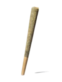 Chronic-Guru-Pre-Roll-247×296-removebg-preview – Ghost Farms