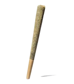 Chronic-Guru-Pre-Roll-247×296-removebg-preview – Ghost Farms