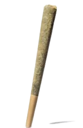 Chronic-Guru-Pre-Roll-247×296-removebg-preview – Ghost Farms