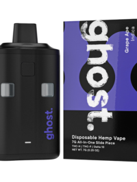Hulk Berry Slide Piece THCh 7G Sativa All-In-One Disposable Vape | Ghost Farms